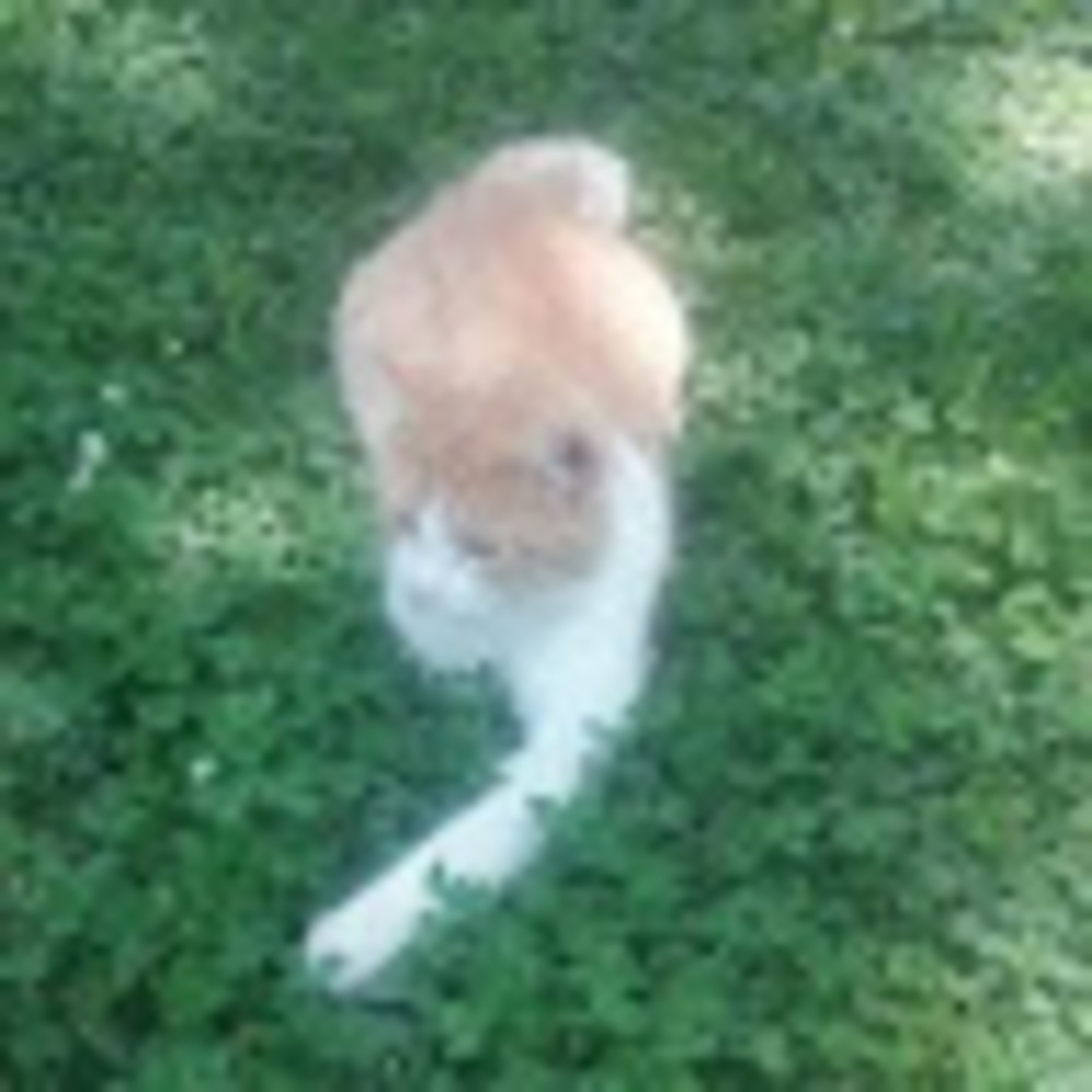 Meet your Posher, Sonielle